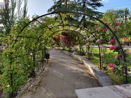 Rosaleda del Parque del Oeste - Thumbnail