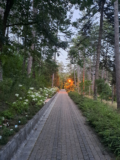 Pineta Di Casina - Thumbnail
