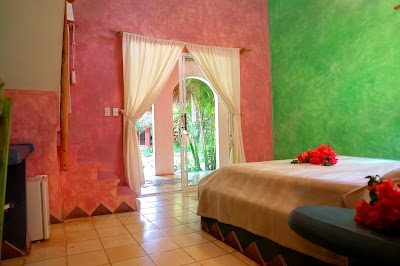 Photos of Hotel La Tortuga