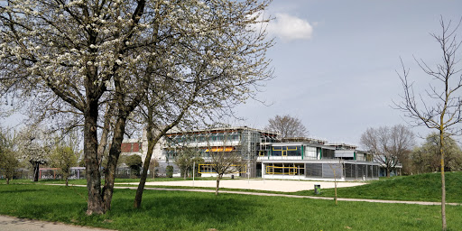 Albertus-Magnus-Gymnasium Ettlingen - Thumbnail