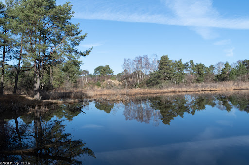 Lake @ Upton Heath - United Kingdom
