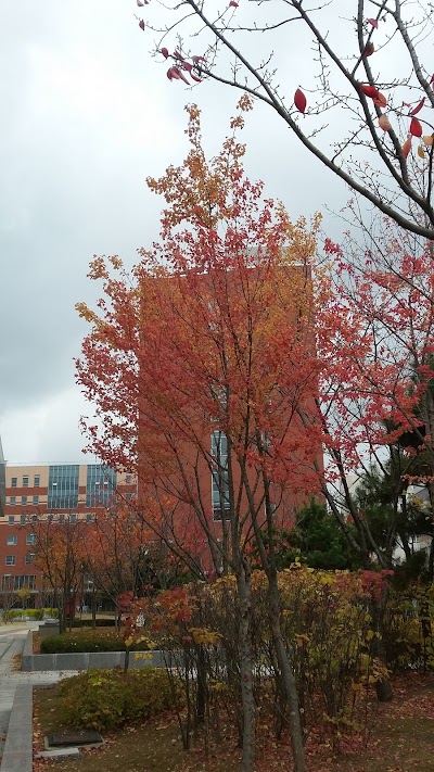 Photos of SUNY Korea