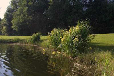 Photos of Herning Fiskepark