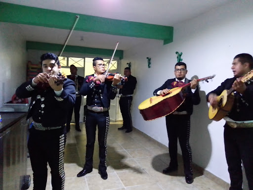 Mariachi son de mi tierra