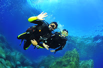 Diving Corsica Sports à Lumio