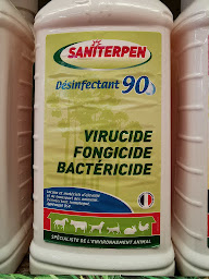 Photo n°22 de Élevage des anges d'Aria chihuahua à Savasse (Garde d'animaux de compagnie)