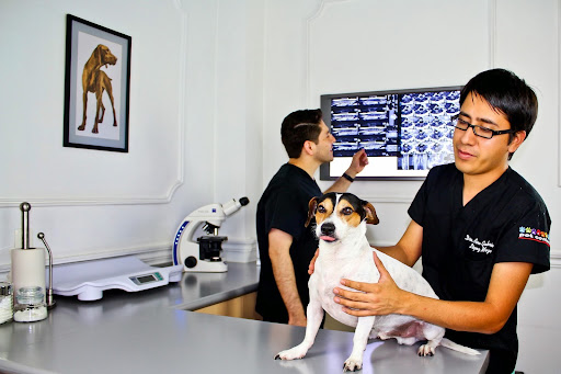 Condesa Pet Center