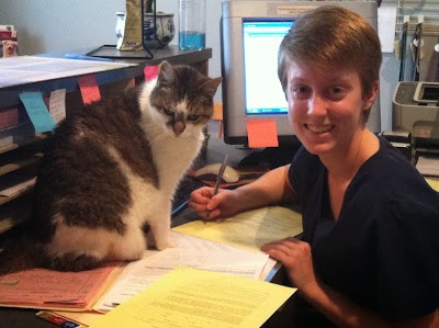 Photos of South Bay Veterinary Clinic