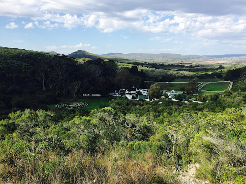 Bodhi Khaya Nature Retreat by null