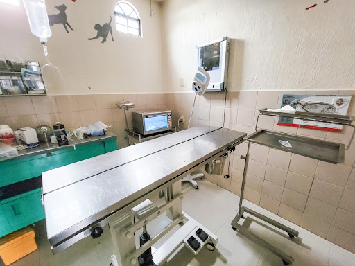 EL DOC | Servicios Veterinarios Integrales - Thumbnail