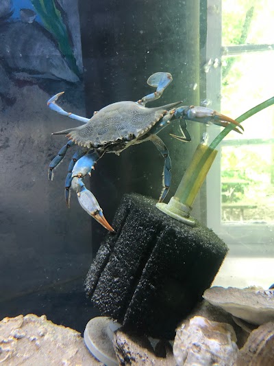 Glen Echo Park Aquarium