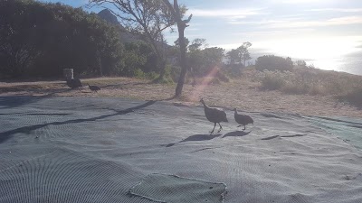 Photos of CAPE TOWN TANDEM PARAGLIDING