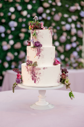Studio Cake - Visual