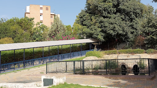 Universidad Loyola (Campus de Córdoba) - Thumbnail