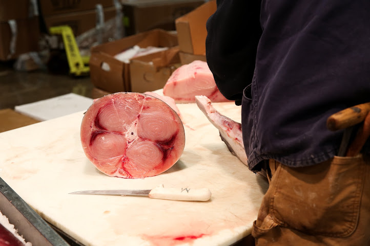 Blue Ribbon Fish Co. by null