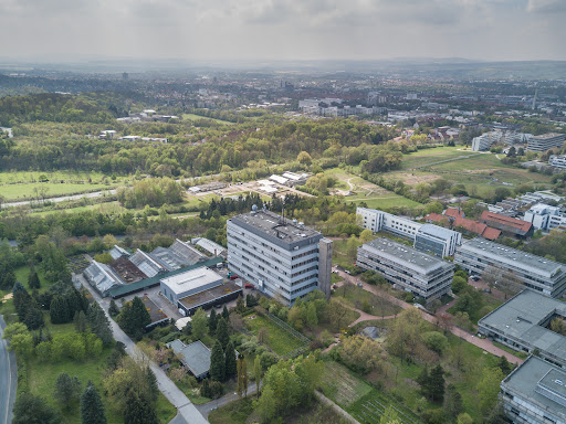 Abteilung Forstbotanik und Baumphysiologie
