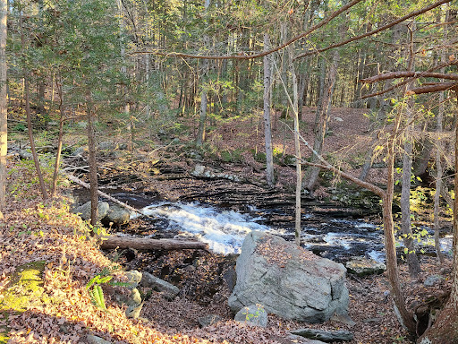 Grayville Falls Town Park - Thumbnail