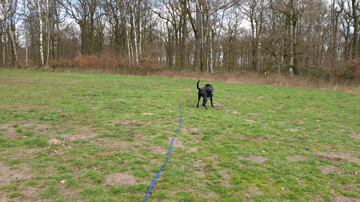 Hundewiese Schlosspark Herten - Thumbnail