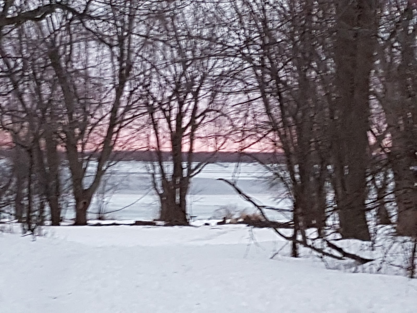 Visit Upper Canada Migratory Bird Sanctuary On Your Trip To Ingleside