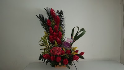Photos of Floristeria Flores Gloria Salom&eacute;