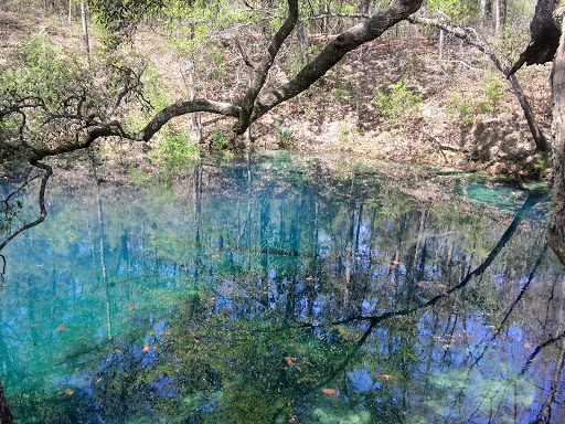 Apalachicola Wildlife Management Area - Thumbnail