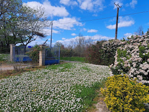 Photo n°9 de Gites de beaujardin à Saint-Pierre-de-Buzet (Location d'appartement de vacances)