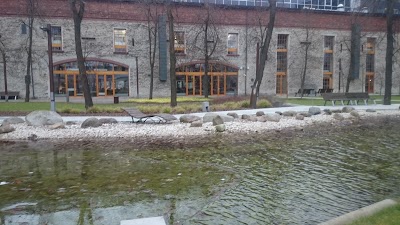 Photos of Dvigatel