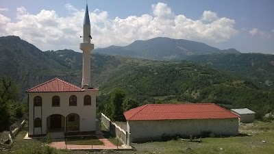 Xhamia e Fshatit Shkallë.