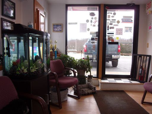 Dave Franek Automotive