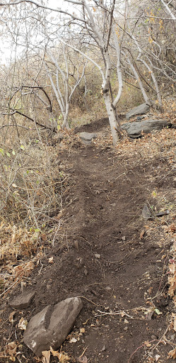 Ranchas Bike Park