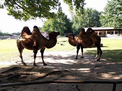 Photos of Herzberg Zoo