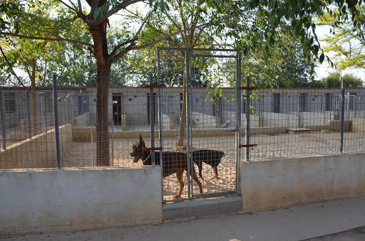Granja La Luna residencia canina para perros gatos en Madrid