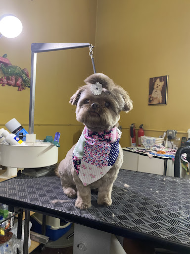 Groomingtails - Thumbnail