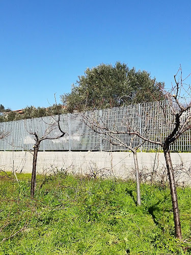 ΚΗΠΟΥΡΟΣ ΑΜΆΡΥΝΘΟΣ ΕΎΒΟΙΑ