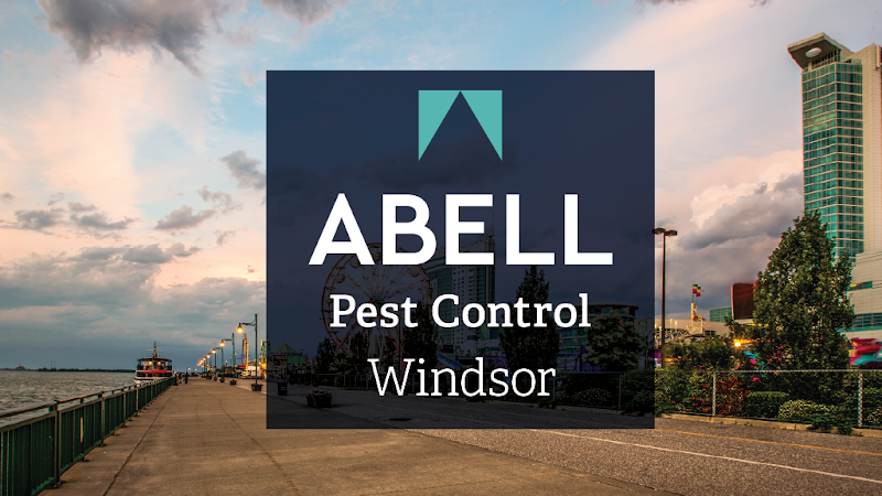Abell Pest Control work photo 1