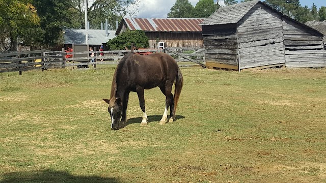 Mississippi Agriculture & Forestry Museum