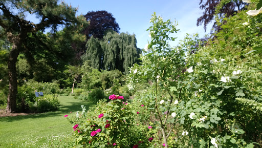 Arboretum Kalmthout - Thumbnail