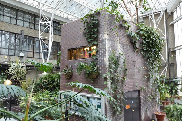 Barbican Conservatory