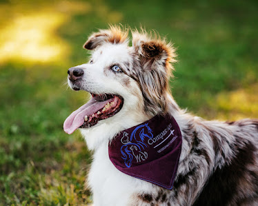 Compassion Veterinary Hospital