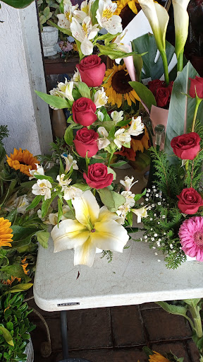 Florería Rosita