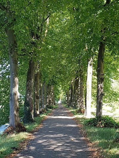 Het Kasteel van Rhoon