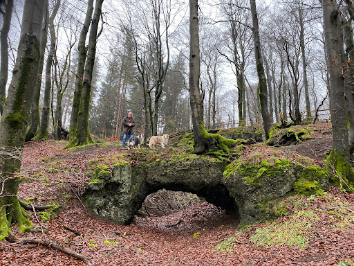Mondviolen Ernstbergkrater - Thumbnail