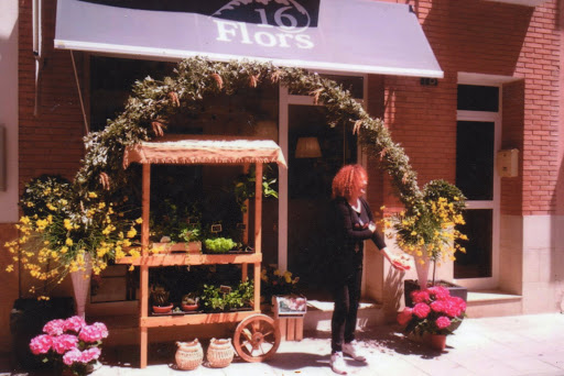 16 Flors - Visual