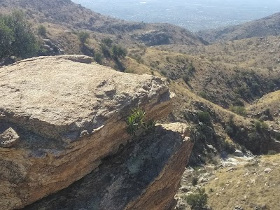 Coronado National Forest Supervisor