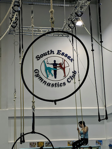 South Essex Gymnastics Club - Thumbnail