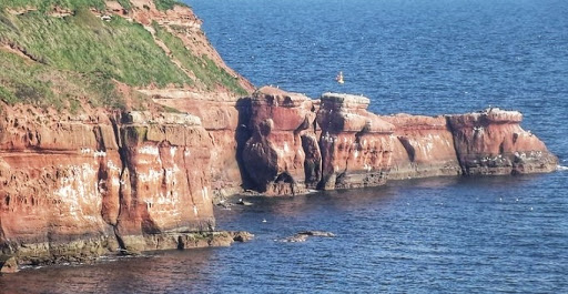 Devon Cliffs Viewpoint. - Visual