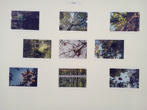 Galería Kali Totelcayotl - Thumbnail