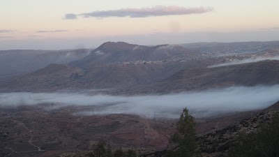Photos of النحلة للحلويات والمرطبات