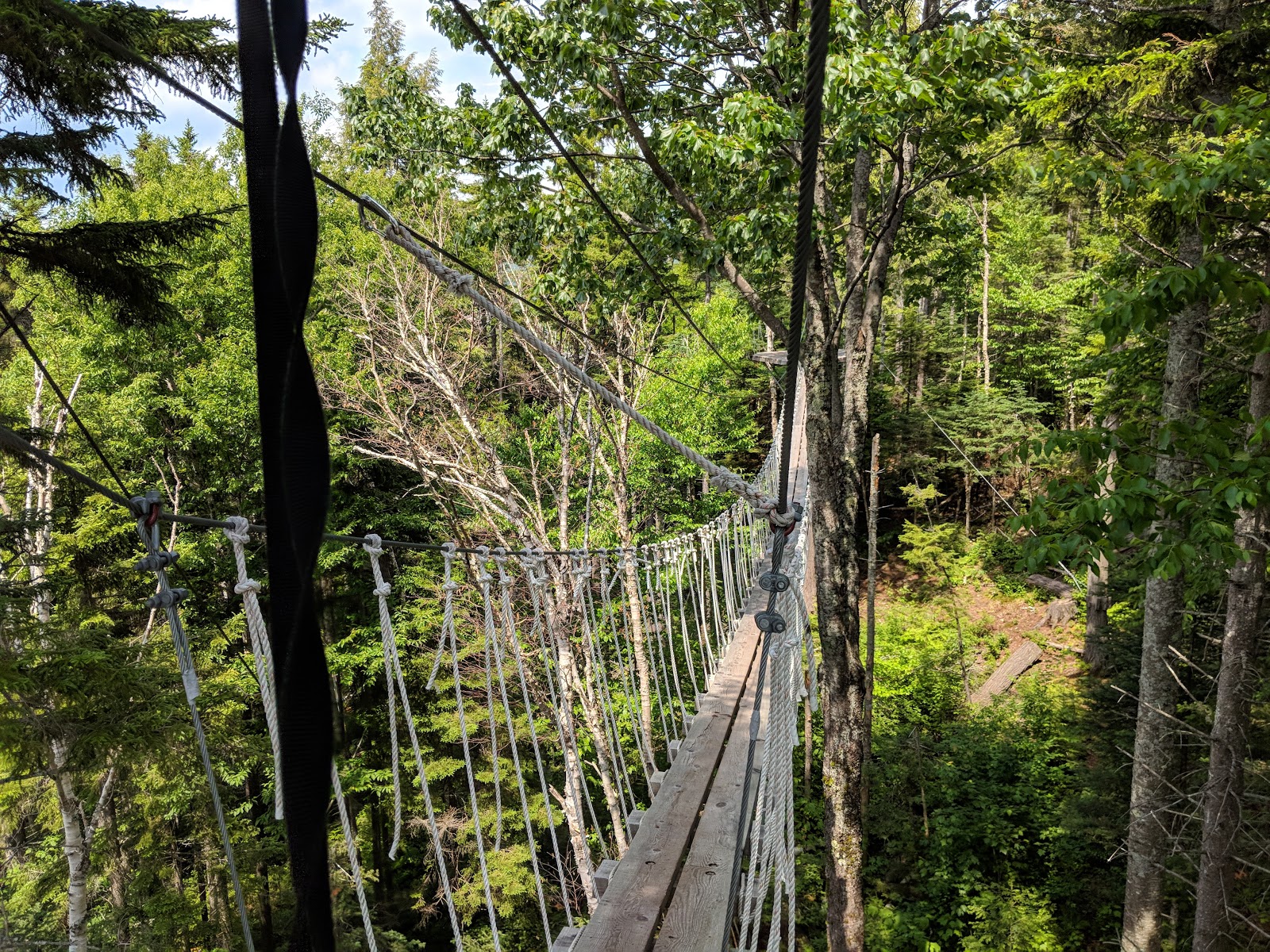 Bretton Woods Canopy Tour