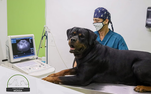 Clínica Veterinaria Mérida
